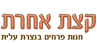 קצת אחרת - חנות פרחים נצרת עילית